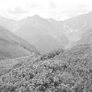 paesaggio (Positivo) di Groth-Schmachtenberger, Erika (1969/01/01 - 1969/12/31)