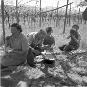 paesaggio (Positivo) di Groth-Schmachtenberger, Erika (1956/01/01 - 1956/12/31)