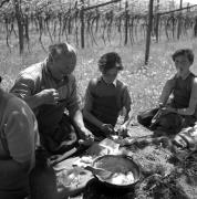 paesaggio (Positivo) di Groth-Schmachtenberger, Erika (1956/01/01 - 1956/12/31)