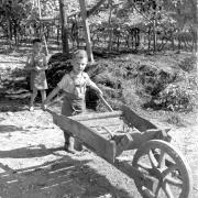 paesaggio (Positivo) di Groth-Schmachtenberger, Erika (1955/01/01 - 1955/12/31)