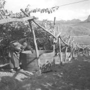 paesaggio (Positivo) di Groth-Schmachtenberger, Erika (1956/01/01 - 1956/12/31)