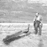 persone (Positivo) di Groth-Schmachtenberger, Erika (1954/01/01 - 1954/12/31)