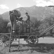 paesaggio (Positivo) di Groth-Schmachtenberger, Erika (1956/01/01 - 1956/12/31)