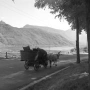 paesaggio (Positivo) di Groth-Schmachtenberger, Erika (1956/01/01 - 1956/12/31)