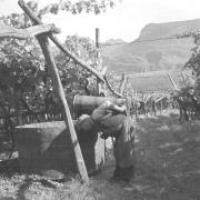 persone (Positivo) di Groth-Schmachtenberger, Erika