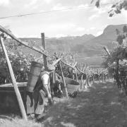 persone (Positivo) di Groth-Schmachtenberger, Erika