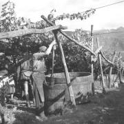 paesaggio (Positivo) di Groth-Schmachtenberger, Erika (1956/01/01 - 1956/12/31)