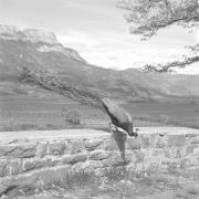 paesaggio (Positivo) di Groth-Schmachtenberger, Erika (1954/01/01 - 1954/12/31)