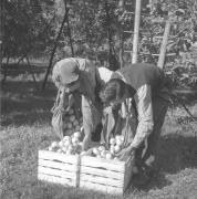 persone (Positivo) di Groth-Schmachtenberger, Erika