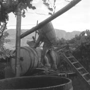 persone (Positivo) di Groth-Schmachtenberger, Erika