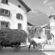 paesaggio (Positivo) di Groth-Schmachtenberger, Erika (1956/01/01 - 1956/12/31)