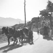 paesaggio (Positivo) di Groth-Schmachtenberger, Erika (1956/01/01 - 1956/12/31)