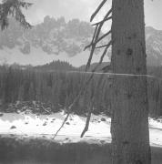 paesaggio (Positivo) di Groth-Schmachtenberger, Erika (1954/01/01 - 1954/12/31)