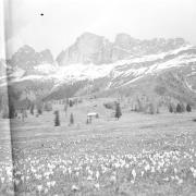 paesaggio (Positivo) di Groth-Schmachtenberger, Erika (1953/01/01 - 1953/12/31)