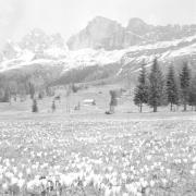 paesaggio (Positivo) di Groth-Schmachtenberger, Erika (1953/01/01 - 1953/12/31)