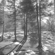 paesaggio (Positivo) di Groth-Schmachtenberger, Erika (1957/01/01 - 1957/12/31)