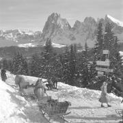 paesaggio (Positivo) di Groth-Schmachtenberger, Erika (1951/01/01 - 1951/12/31)