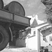 persone (Positivo) di Groth-Schmachtenberger, Erika (1954/01/01 - 1954/12/31)