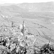 paesaggio (Positivo) di Groth-Schmachtenberger, Erika (1954/01/01 - 1954/12/31)