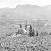 paesaggio (Positivo) di Groth-Schmachtenberger, Erika (1954/01/01 - 1954/12/31)