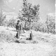 persone (Positivo) di Groth-Schmachtenberger, Erika (1971/01/01 - 1971/12/31)