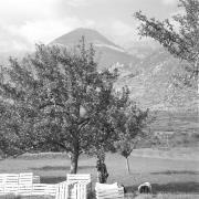 paesaggio (Positivo) di Groth-Schmachtenberger, Erika (1956/01/01 - 1956/12/31)