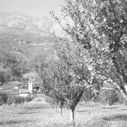 persone (Positivo) di Groth-Schmachtenberger, Erika (1956/01/01 - 1956/12/31)