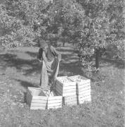 persone (Positivo) di Groth-Schmachtenberger, Erika (1956/01/01 - 1956/12/31)