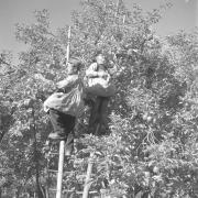 persone (Positivo) di Groth-Schmachtenberger, Erika (1956/01/01 - 1956/12/31)