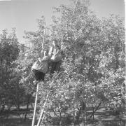 persone (Positivo) di Groth-Schmachtenberger, Erika (1956/01/01 - 1956/12/31)