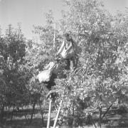 persone (Positivo) di Groth-Schmachtenberger, Erika (1956/01/01 - 1956/12/31)