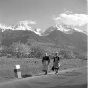 paesaggio (Positivo) di Groth-Schmachtenberger, Erika (1956/01/01 - 1956/12/31)