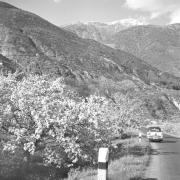 paesaggio (Positivo) di Groth-Schmachtenberger, Erika (1956/01/01 - 1956/12/31)