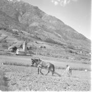 paesaggio (Positivo) di Groth-Schmachtenberger, Erika (1959/01/01 - 1959/12/31)