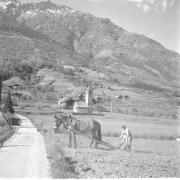 paesaggio (Positivo) di Groth-Schmachtenberger, Erika (1959/01/01 - 1959/12/31)