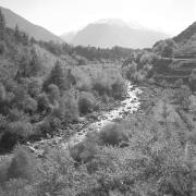 paesaggio (Positivo) di Groth-Schmachtenberger, Erika (1956/01/01 - 1956/12/31)