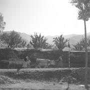 paesaggio (Positivo) di Groth-Schmachtenberger, Erika (1956/01/01 - 1956/12/31)