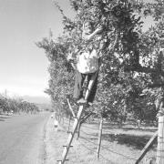 paesaggio (Positivo) di Groth-Schmachtenberger, Erika (1956/01/01 - 1956/12/31)