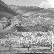 paesaggio (Positivo) di Groth-Schmachtenberger, Erika (1956/01/01 - 1956/12/31)