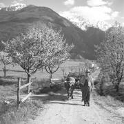 persone (Positivo) di Groth-Schmachtenberger, Erika (1956/01/01 - 1956/12/31)