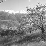 paesaggio (Positivo) di Groth-Schmachtenberger, Erika (1956/01/01 - 1956/12/31)