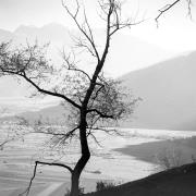 paesaggio (Positivo) di Groth-Schmachtenberger, Erika (1971/01/01 - 1971/12/31)