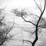 paesaggio (Positivo) di Groth-Schmachtenberger, Erika (1971/01/01 - 1971/12/31)