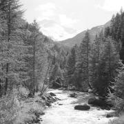 paesaggio (Positivo) di Groth-Schmachtenberger, Erika (1971/01/01 - 1971/12/31)