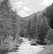 paesaggio (Positivo) di Groth-Schmachtenberger, Erika (1971/01/01 - 1971/12/31)