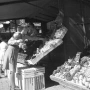 persone (Positivo) di Groth-Schmachtenberger, Erika (1953/01/01 - 1953/12/31)