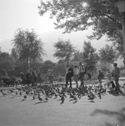 persone (Positivo) di Groth-Schmachtenberger, Erika (1961/01/01 - 1961/12/31)