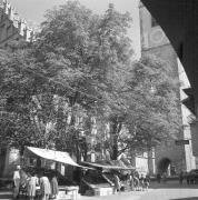 persone (Positivo) di Groth-Schmachtenberger, Erika (1953/01/01 - 1953/12/31)