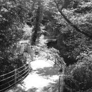 paesaggio (Positivo) di Groth-Schmachtenberger, Erika (1971/01/01 - 1971/12/31)