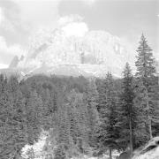 paesaggio (Positivo) di Groth-Schmachtenberger, Erika